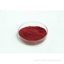 Bilberry Extract 25% Anthocyanin From Fruit